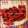 Approvisionnement d&#39;usine séché Ningxia origine goji berry